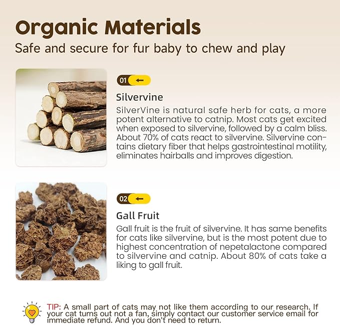 Natural Silvervine & Matatabi Cat Sticks — 6 Pack