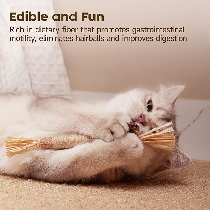 Natural Silvervine & Matatabi Cat Sticks — 6 Pack