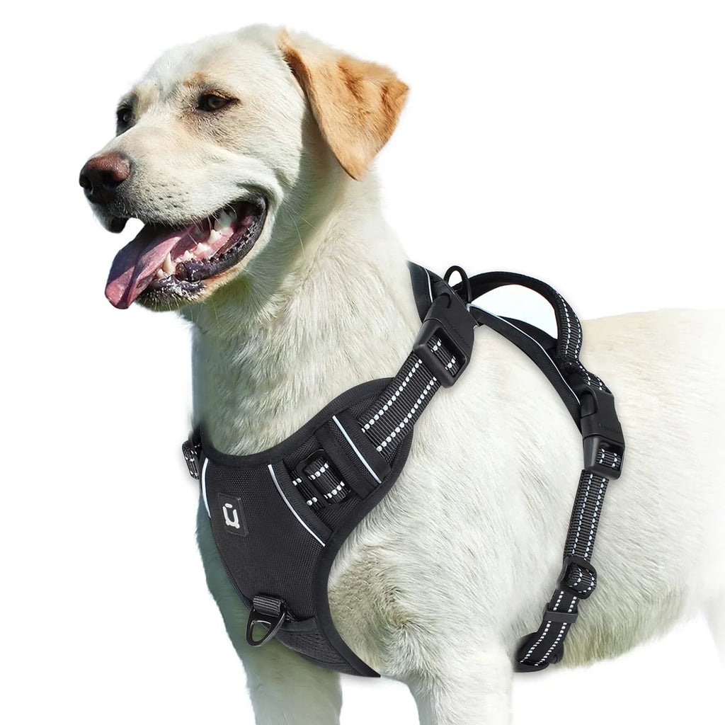 Adjustable No-Pull Dog Harness — Padded Vest with Control Handle