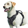 Adjustable No-Pull Dog Harness — Padded Vest with Control Handle
