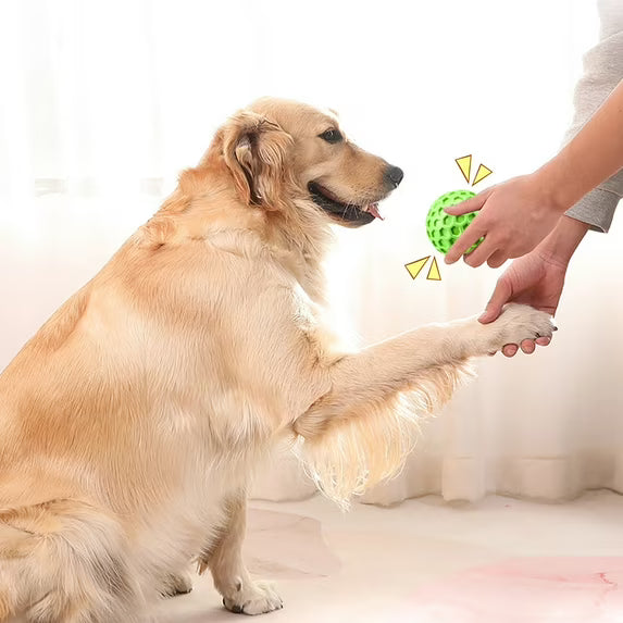 Natural Rubber Dog Chew Toy Ball