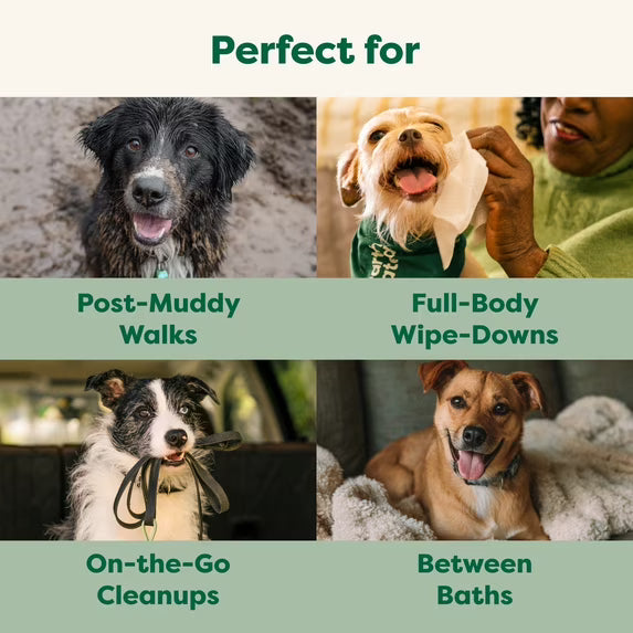 Hypoallergenic Pet Grooming Wipes — 6 Pack