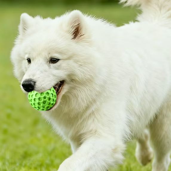 Natural Rubber Dog Chew Toy Ball